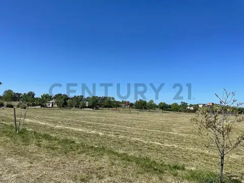 El Mirador  Club de Campo   ruta 2 km 90 400