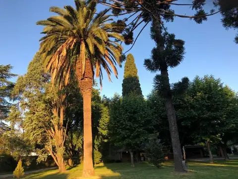 Terreno en Venta de 6788,0 m2