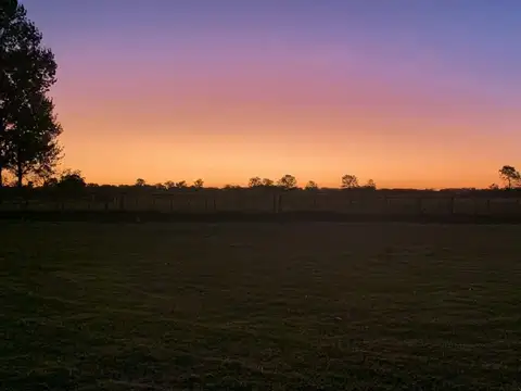 Terreno en Venta de 5054,0 m2