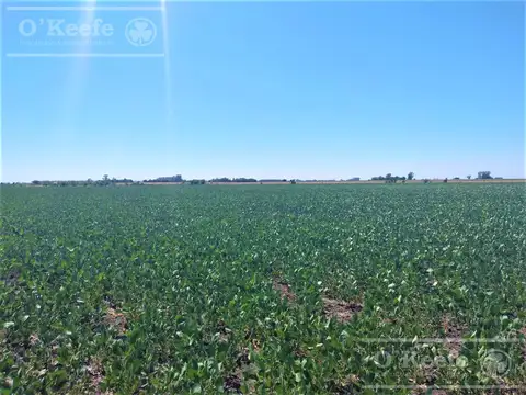 Campo en venta mixto en Chivilcoy de 106 has