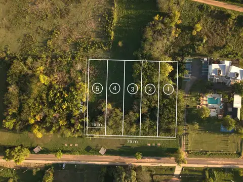 Peninsula - Clavarino al Este