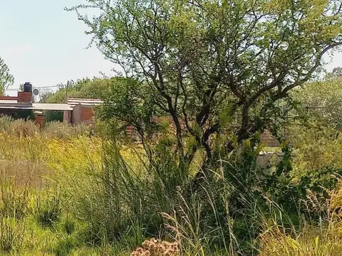 Terreno en Venta de 500,0 m2