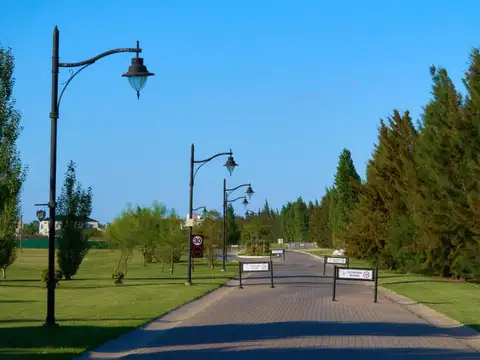 Terreno en Venta de 1000,0 m2