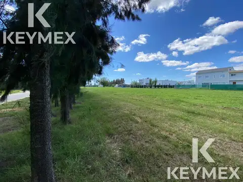 Terreno en Venta de 308,0 m2
