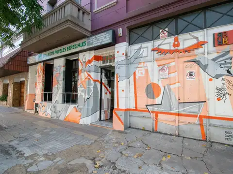 LOCAL Y GALPON EN VENTA LA PLATA