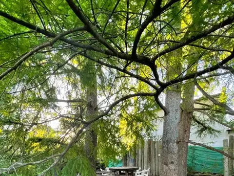 Casa en Alquiler Temporal en Bella Vista, USD 1.800