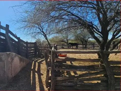 Ruta Provincial 111 100