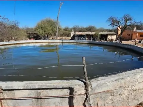 Campo de 4037 has - Apto CRÍA y RECRÍA - Recreo/Catamarca