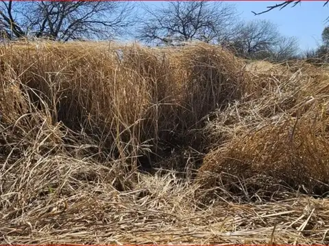 Campo de 4037 has - Apto CRÍA y RECRÍA - Recreo/Catamarca