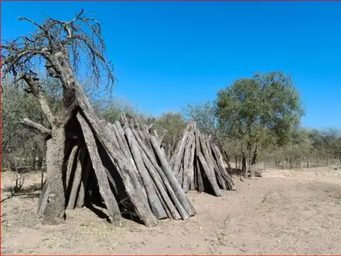 Campo de 4037 has - Apto CRÍA y RECRÍA - Recreo/Catamarca