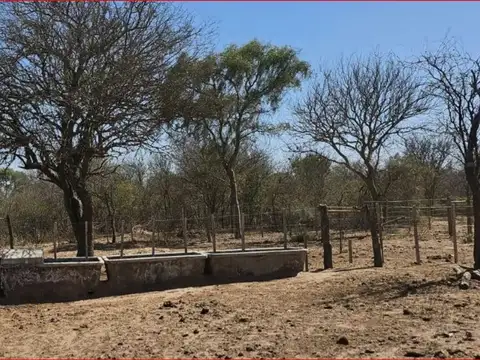 Campo de 4037 has - Apto CRÍA y RECRÍA - Recreo/Catamarca