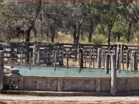 Campo de 4037 has - Apto CRÍA y RECRÍA - Recreo/Catamarca