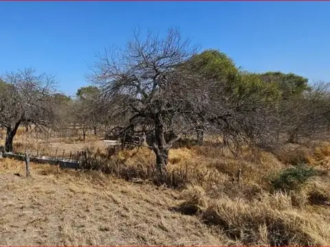 Campo de 4037 has - Apto CRÍA y RECRÍA - Recreo/Catamarca