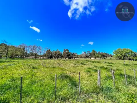 Terreno en Venta de 1002,0 m2