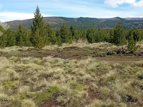 Venta lote 2400 m2 - villa quilquihue - junin de los andes