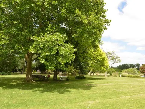 Terreno en Venta de 610,0 m2