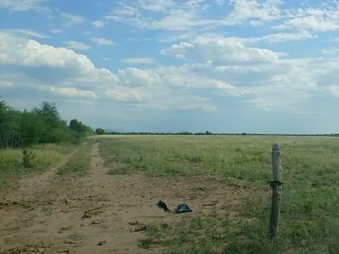 VENTA CAMPO MIXTO SERREZUELA 876 HAS