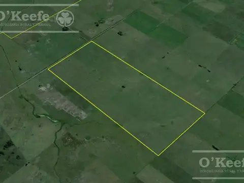 Campo Mixto en venta - 241 has en Magdalena !!