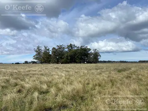 Campo Mixto en venta - 241 has en Magdalena !!