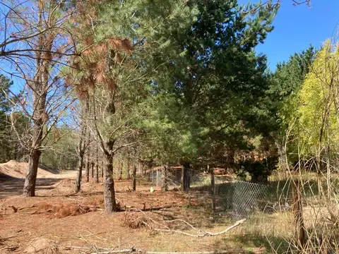 Terreno en San Bernardo 