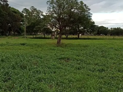 Terreno en Venta de 468,0 m2