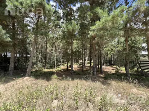 Terreno en Venta en Barrio Cerrado Costa Esmeralda, USD 72.000