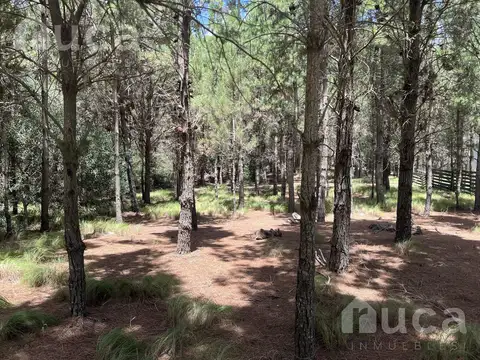 VENTA | EXCELENTE LOTE SENDEROS IV | Costa Esmeralda