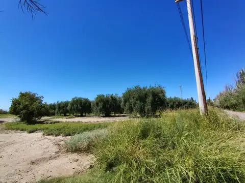 Se vende terreno en Maipú, Mendoza