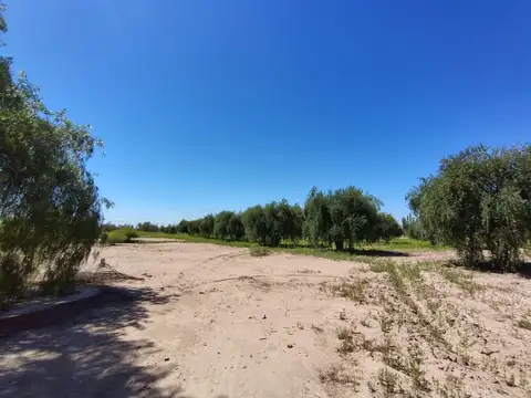 Se vende terreno en Maipú, Mendoza