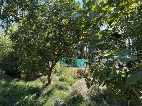 Terreno en Venta de 300,0 m2