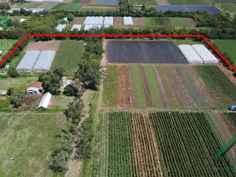 San Lorenzo - General Paz - al 4500 - Belen de Escobar