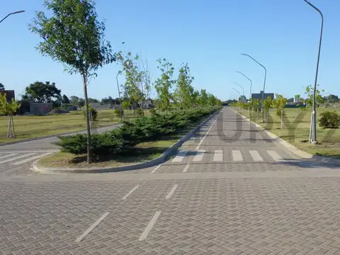 EcoTierra , Piso 0