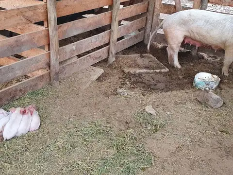 Calle Ercilia López