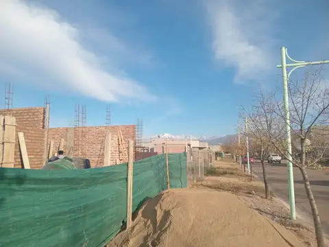 S. Corvalan 100
