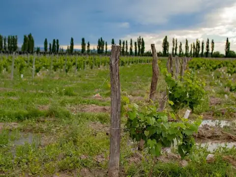 Terreno en Venta en Rama Caida, USD 11.800