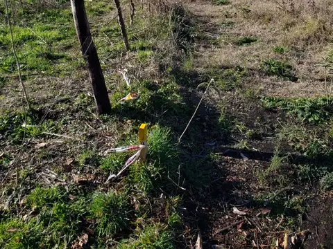 Quinta en Venta en Reta, USD 50.000