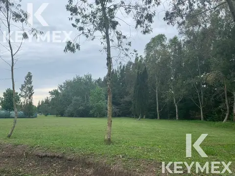 Miralagos Ruta 2 Km 65