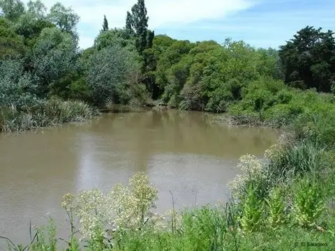 Atalaya