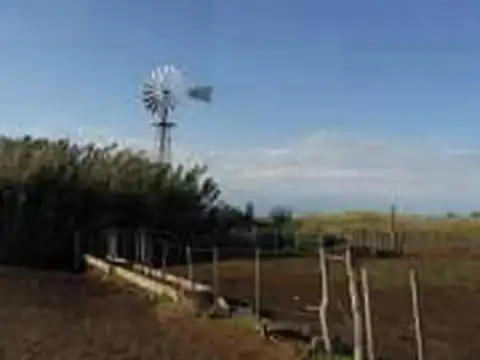 Campo Mixto Estratégico en Ayacucho: 500 Hectáreas con Acces