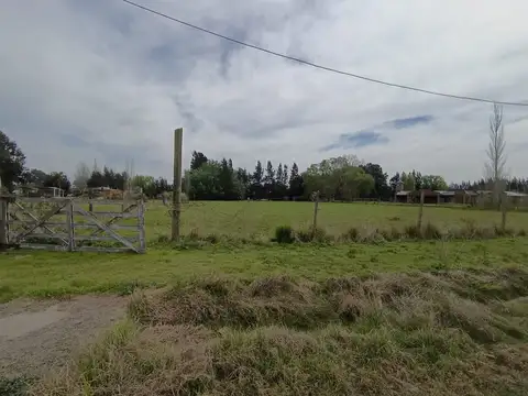 VENDE LOTE PTE.PERON GUERNICA  5000 M2.