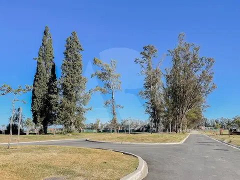 Terreno en Venta de 504,0 m2