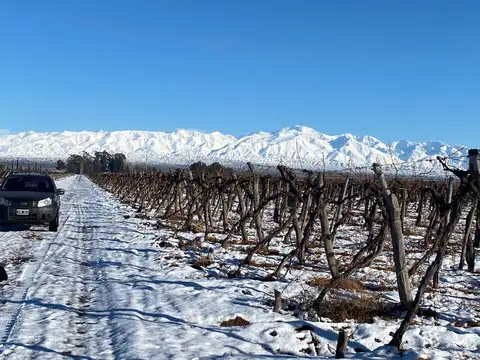 Finca en Venta en Ugarteche