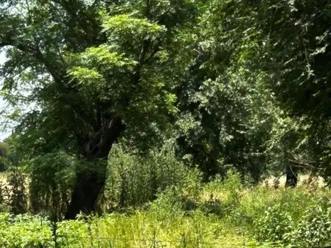 CAMPO/CHACRA DE 10 HECTAREAS A LA VENTA EN MERCEDES