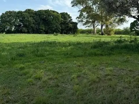 CAMPO/CHACRA DE 10 HECTAREAS A LA VENTA EN MERCEDES