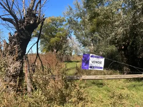 CAMPO/CHACRA DE 10 HECTAREAS A LA VENTA EN MERCEDES