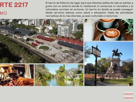 Venta Departamento 2 Ambientes Palermo Balcón Terr