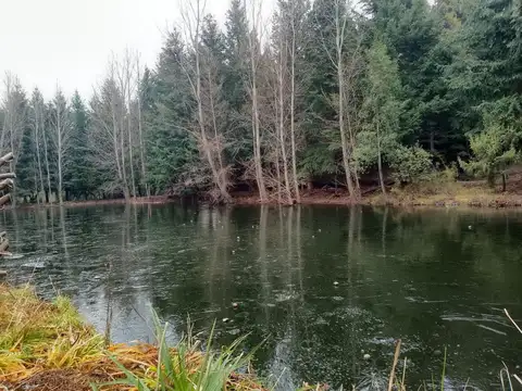 Terreno en Venta en El Bolson, USD 35.000