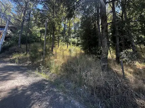 Terreno en Venta en San Martin de los Andes, Lácar