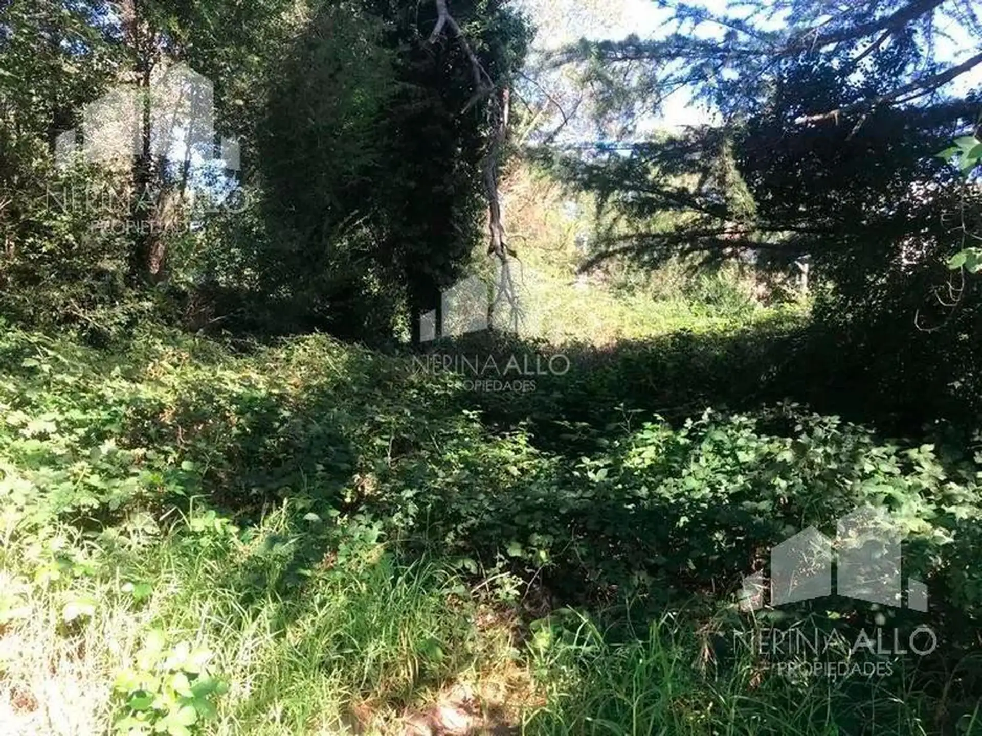 Venta Terreno Sierra De Los Padres Mar Del Plata