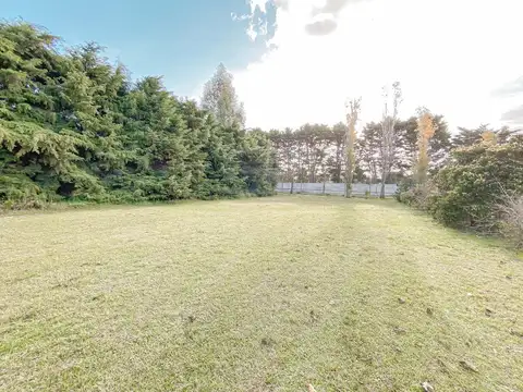 Maipu Y Martin Fierro